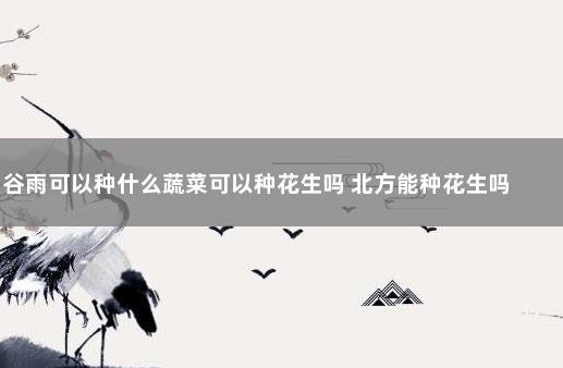 谷雨可以种什么蔬菜可以种花生吗 北方能种花生吗