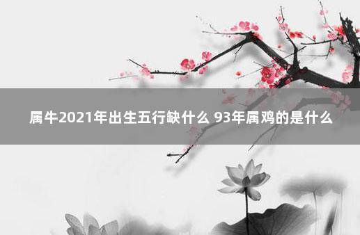 属牛2021年出生五行缺什么 93年属鸡的是什么命