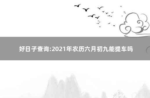 好日子查询:2021年农历六月初九能提车吗