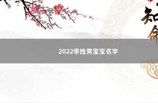 2022李姓男宝宝名字