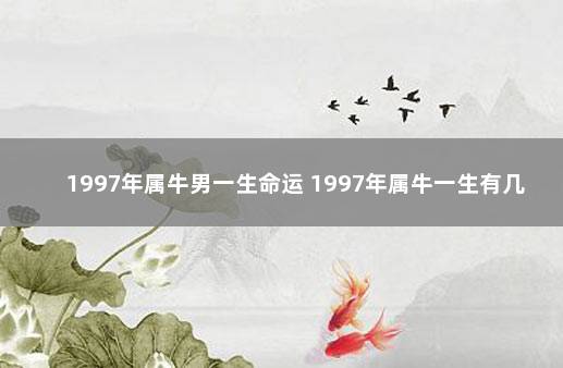 1997年属牛男一生命运 1997年属牛一生有几次婚姻