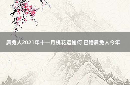 属兔人2021年十一月桃花运如何 已婚属兔人今年桃花2021