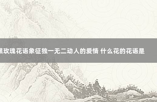 黑玫瑰花语象征独一无二动人的爱情 什么花的花语是独一无二