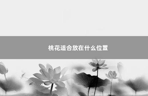 桃花适合放在什么位置