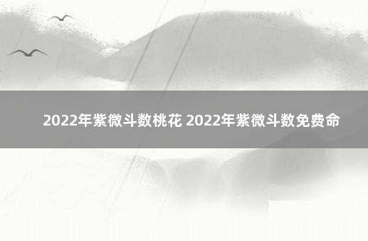 2022年紫微斗数桃花 2022年紫微斗数免费命盘详解