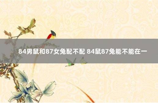 84男鼠和87女兔配不配 84鼠87兔能不能在一起