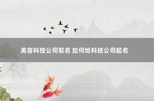 美容科技公司取名 如何给科技公司起名