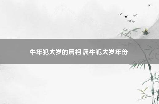 牛年犯太岁的属相 属牛犯太岁年份