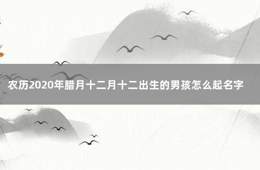 农历2020年腊月十二月十二出生的男孩怎么起名字