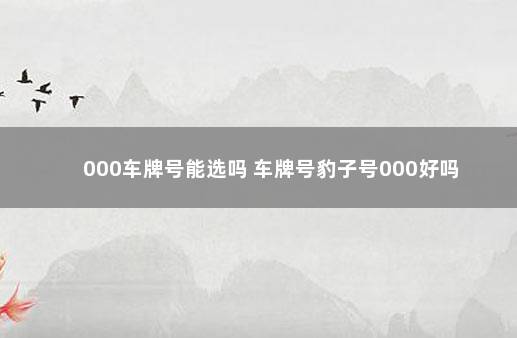 000车牌号能选吗 车牌号豹子号000好吗