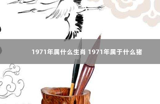 1971年属什么生肖 1971年属于什么猪