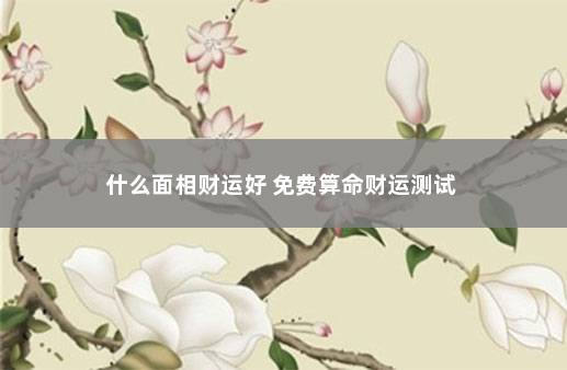 什么面相财运好 免费算命财运测试