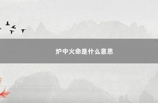 炉中火命是什么意思