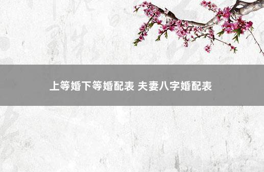 上等婚下等婚配表 夫妻八字婚配表