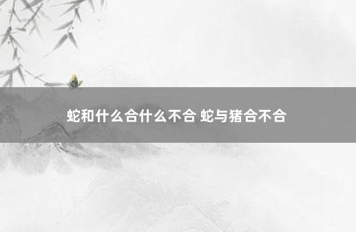 蛇和什么合什么不合 蛇与猪合不合