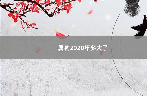 属狗2020年多大了