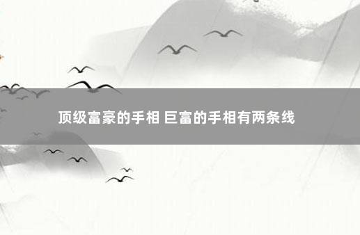 顶级富豪的手相 巨富的手相有两条线