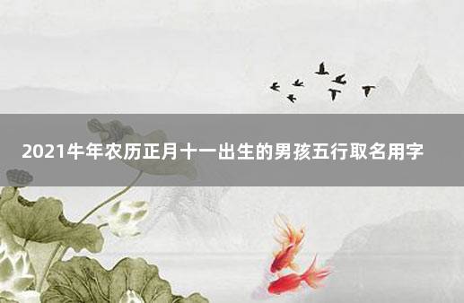 2021牛年农历正月十一出生的男孩五行取名用字 牛年11月出生的男宝宝名字