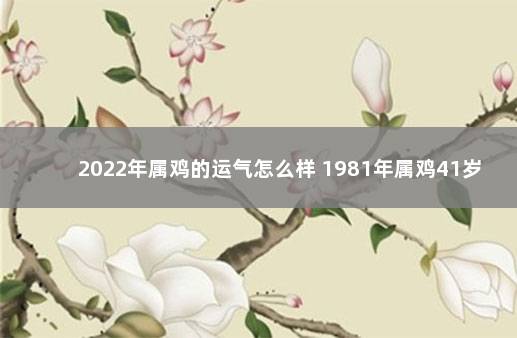 2022年属鸡的运气怎么样 1981年属鸡41岁大劫年