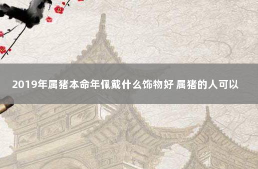 2019年属猪本命年佩戴什么饰物好 属猪的人可以佩戴猪的吉祥物