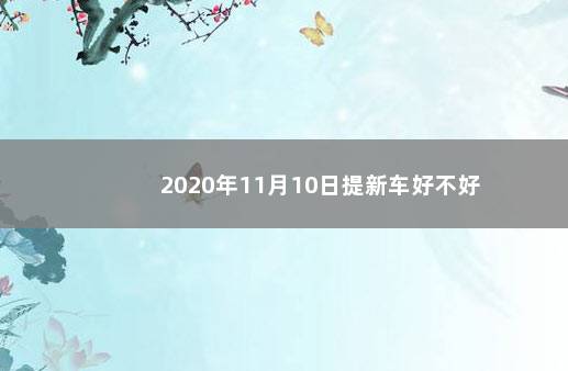 2020年11月10日提新车好不好