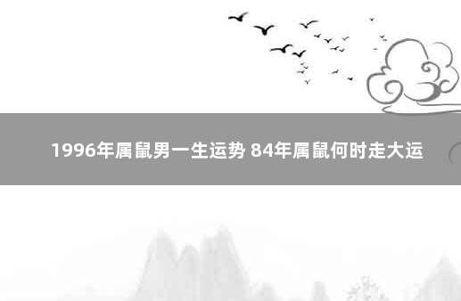 1996年属鼠男一生运势 84年属鼠何时走大运