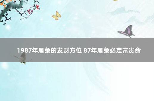 1987年属兔的发财方位 87年属兔必定富贵命