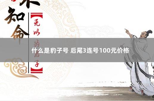 什么是豹子号 后尾3连号100元价格