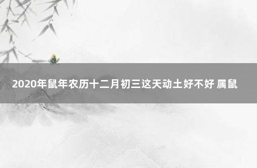 2020年鼠年农历十二月初三这天动土好不好 属鼠几月命苦