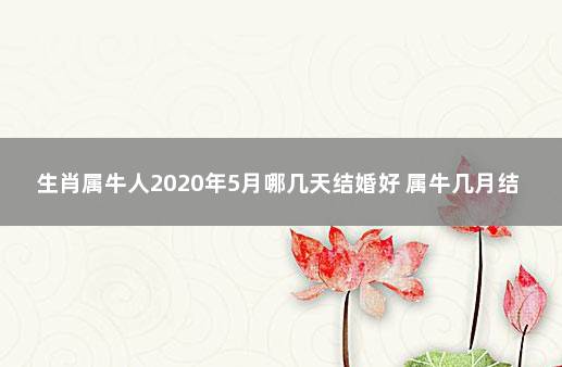 生肖属牛人2020年5月哪几天结婚好 属牛几月结婚是大利月2022