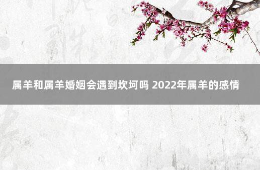 属羊和属羊婚姻会遇到坎坷吗 2022年属羊的感情方面怎么样