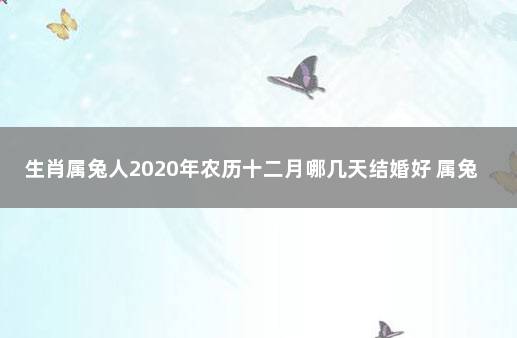 生肖属兔人2020年农历十二月哪几天结婚好 属兔的几月份结婚合适