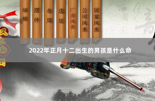 2022年正月十二出生的男孩是什么命