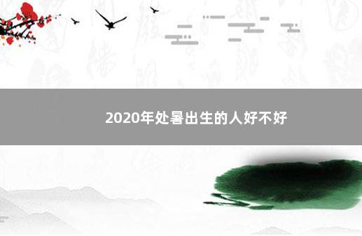 2020年处暑出生的人好不好