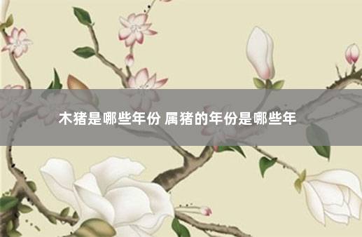 木猪是哪些年份 属猪的年份是哪些年