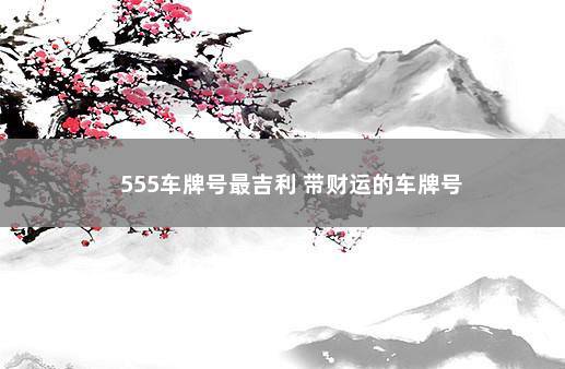 555车牌号最吉利 带财运的车牌号