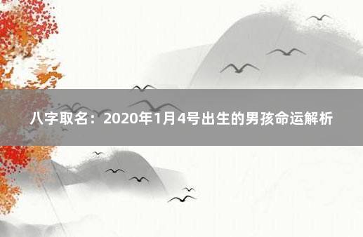 八字取名：2020年1月4号出生的男孩命运解析 生辰八字五行取名免费