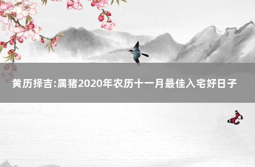 黄历择吉:属猪2020年农历十一月最佳入宅好日子大全 2021年11月搬家入宅黄道吉日