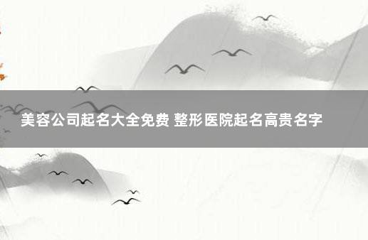 美容公司起名大全免费 整形医院起名高贵名字