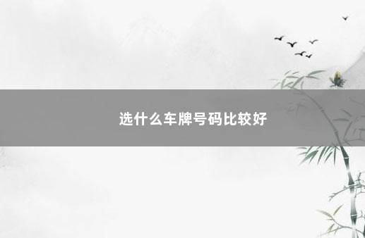 选什么车牌号码比较好