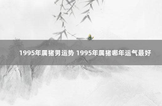 1995年属猪男运势 1995年属猪哪年运气最好