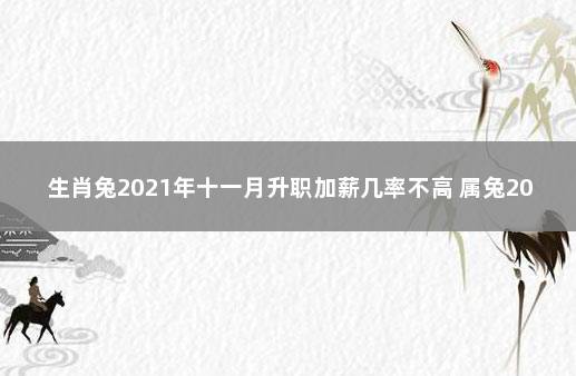 生肖兔2021年十一月升职加薪几率不高 属兔2021年适合跳槽吗