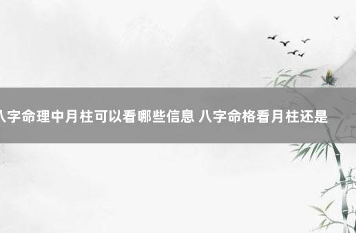 八字命理中月柱可以看哪些信息 八字命格看月柱还是日柱