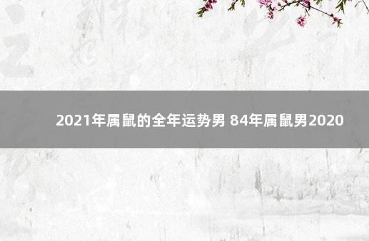 2021年属鼠的全年运势男 84年属鼠男2020年运势及运程