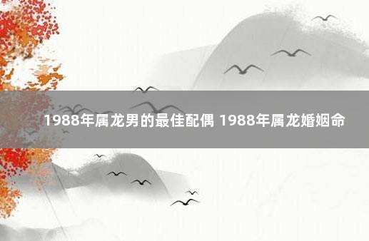 1988年属龙男的最佳配偶 1988年属龙婚姻命运