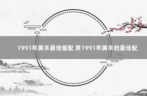 1991年属羊最佳婚配 男1991年属羊的最佳配偶