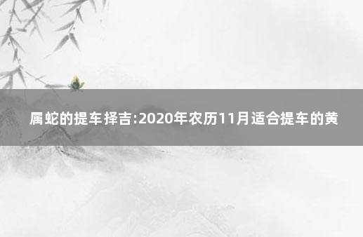 属蛇的提车择吉:2020年农历11月适合提车的黄道日子 属蛇什么时候提车最好