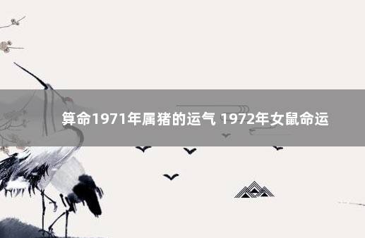 算命1971年属猪的运气 1972年女鼠命运