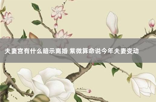 夫妻宫有什么暗示离婚 紫微算命说今年夫妻变动