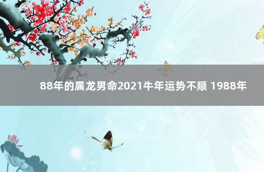 88年的属龙男命2021牛年运势不顺 1988年属龙的什么时候转运